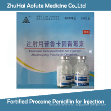 Penicilina Procaína Fortificada para Inyección